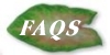 FAQS - 6540 Bytes