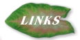 Links - 6540 Bytes
