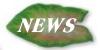 News and Information - 6540 Bytes